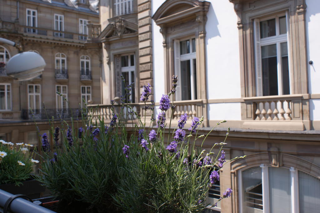 Studio De L'Hotel De Ville Strasburg Zewnętrze zdjęcie
